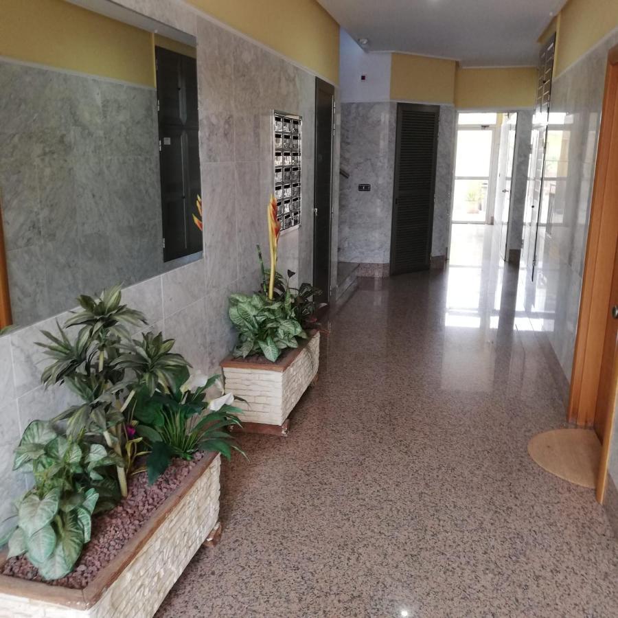 Apartamento A 50 Metros De La Playa Muchavista El Campello Buitenkant foto
